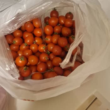 İade Hakkı Ve Müşteri Desteği Yetersizliği Mağduriyet Yaşattı