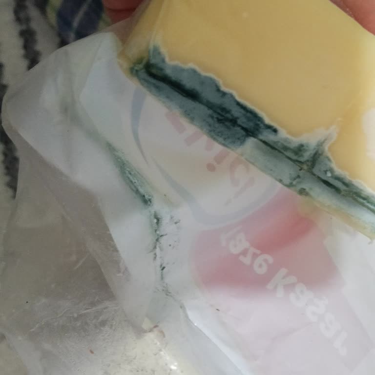 Son Kullanma Tarihi Geçmemiş Kaşar Peynirinde Küf Ve Güven Kaybı Yaşadım