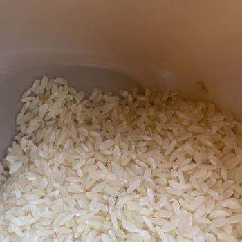 Migros'tan Alınan Pirinçte Kurt Çıktı, Mağduriyetim Giderilmiyor