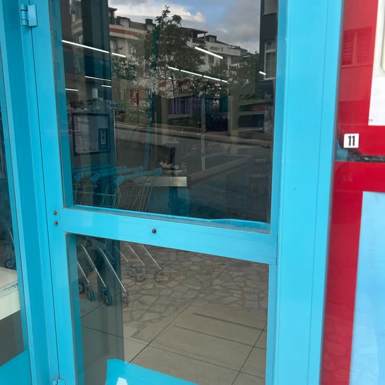 A101 Şubesinde Hijyen Sorunu Ve Sokak Kedileriyle İlgili Şikayetim