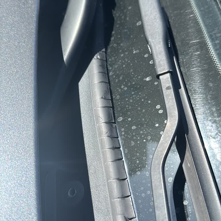 BMW F22 220d Ön Cam Fitilindeki Kronik Sorun İçin Çözüm Bekliyorum