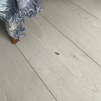 Taşınma Sırasında Eşyalarım Ve Evim Zarar Gördü, Firma İlgisiz Davrandı