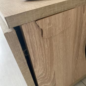 Taşınma Sırasında Eşyalarım Ve Evim Zarar Gördü, Firma İlgisiz Davrandı