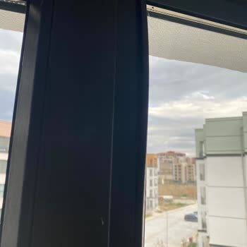 Taşınma Sırasında Eşyalarım Ve Evim Zarar Gördü, Firma İlgisiz Davrandı