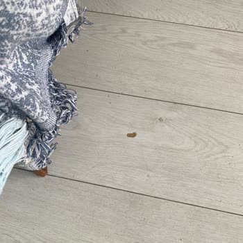 Taşınma Sırasında Eşyalarım Ve Evim Zarar Gördü, Firma İlgisiz Davrandı