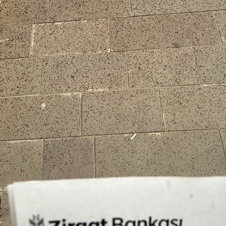 Ziraat Bankası Yeni Girne Şubesi Evrak Taleplerimi Karşılamadı