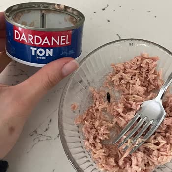 Aldığım Ton Balığı Konservesinde Böcek Çıktı, Sağlığım Tehlikeye Girdi