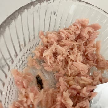 Aldığım Ton Balığı Konservesinde Böcek Çıktı, Sağlığım Tehlikeye Girdi