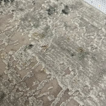 Kahve Lekesi Çıkmadı, Verilen Garanti Yerine Getirilmedi