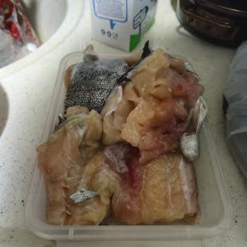 Marketin Satışa Sunduğu Bozuk Ürünler Sağlığımızı Tehdit Ediyor, Ücret İadesi Talep Ediyorum