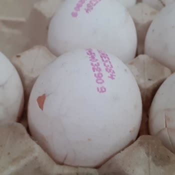 Migros Kırık ve Kurtlanmış Yumurtalar Nedeniyle Güven Kaybı ve İade Talebi