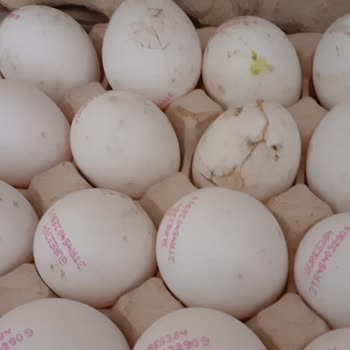 Migros Kırık ve Kurtlanmış Yumurtalar Nedeniyle Güven Kaybı ve İade Talebi