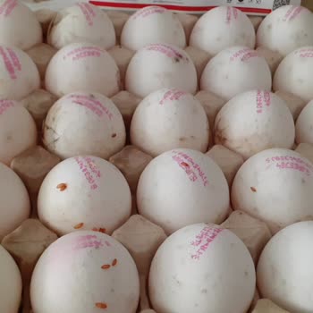 Migros Kırık ve Kurtlanmış Yumurtalar Nedeniyle Güven Kaybı ve İade Talebi