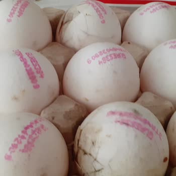 Migros Kırık ve Kurtlanmış Yumurtalar Nedeniyle Güven Kaybı ve İade Talebi