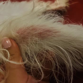 Seresto Köpek Tasması Alerjiye Sebep Oldu, Ücret İadesi Talebim Var