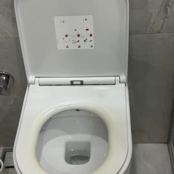 Bien Klozet Oturma Kısmında Hızlı Sararma ve Yetersiz Çözüm