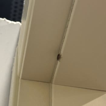 GYM Centerda Hijyen Eksikliği Ve Çözülmeyen Temizlik Sorunları