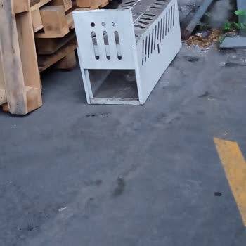 İşyeri Çevresindeki Kedilere Zarar Verilmesi Ve Yönetimin Olumsuz Tutumu