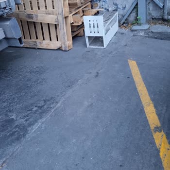 İşyeri Çevresindeki Kedilere Zarar Verilmesi Ve Yönetimin Olumsuz Tutumu