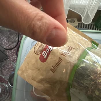 Doytat Ürünün İçinden Çıkan Kıl