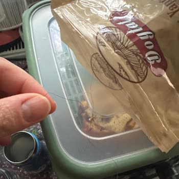 Doytat Ürünün İçinden Çıkan Kıl