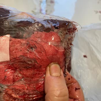 Servis Gecikmesi Nedeniyle Derin Dondurucudaki Tüm Ürünlerim Bozuldu