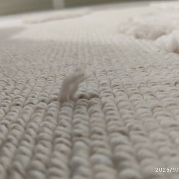 Halıdaki Sorun Çözülmedi Param Üç Aydır İade Edilmiyor Mağdurum