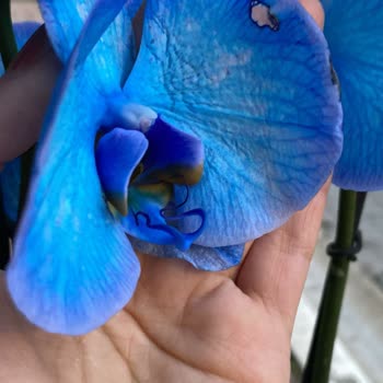 Yanlış Ve Hasarlı Ürün, İlgisiz Müşteri Hizmeti!