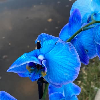 Yanlış Ve Hasarlı Ürün, İlgisiz Müşteri Hizmeti!