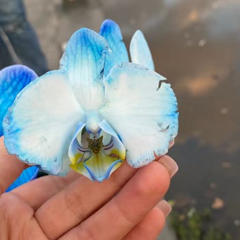 Yanlış Ve Hasarlı Ürün, İlgisiz Müşteri Hizmeti!