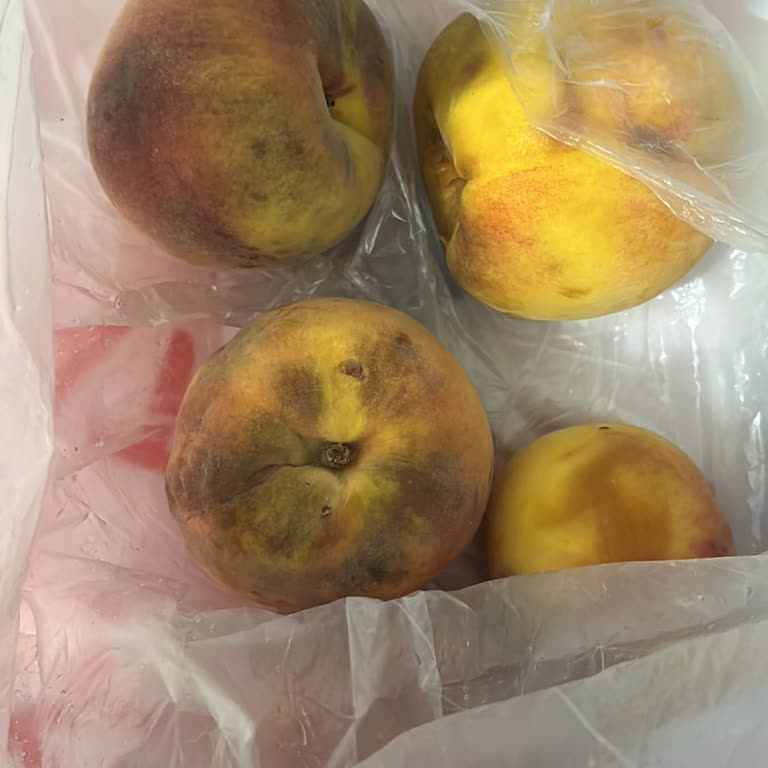 Çürük Şeftali Teslimatı Sonrası Müşteri Hizmetlerinden Yanıt Alamadım