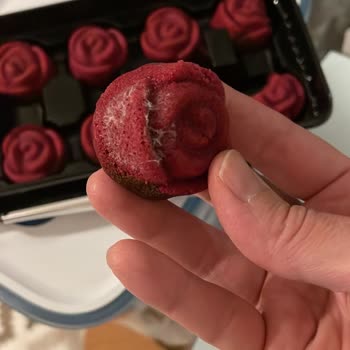 Küflü Kekler Ve İlgisiz Müşteri Hizmetleri Nedeniyle Sağlıksız Sipariş Endişesi