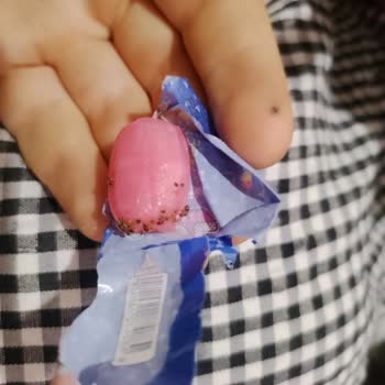 Aldığım Sürpriz Paketten Ölü Karınca Çıkması Nedeniyle Hijyen Sorunu