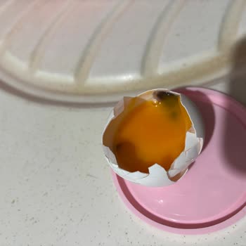 Yumurta Paketinde Küf Sorunu Ve İletişim Eksikliği