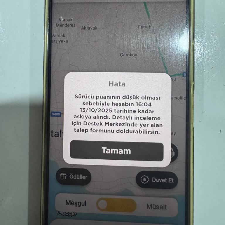 Yüksek Puanlı Hesabım Haksız Yere Bloke Edildi, Gelir Kaybı Yaşadım