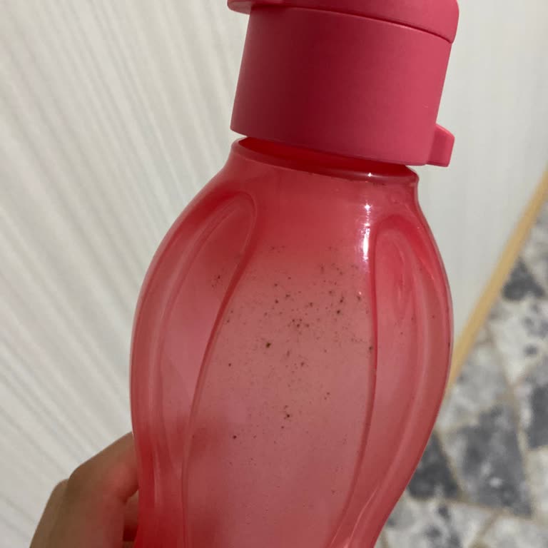 Kısa Sürede Küflenen Tupperware Suluk Mağduriyeti