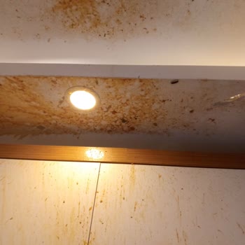 Düdüklü Tencere Patladı: Can Güvenliğimiz Tehlikeye Girdi, Maddi Hasar Oluştu