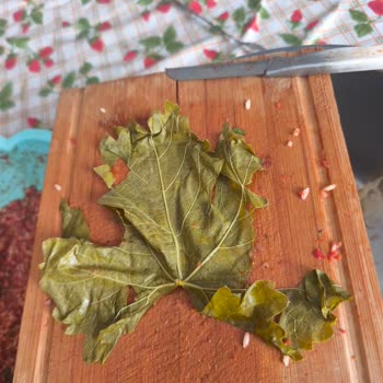 Handaninbahcesii (Instagram)  Ürünü İade Etmek ve Ödediğim Tutarın Geri Ödenmesini İstiyorum