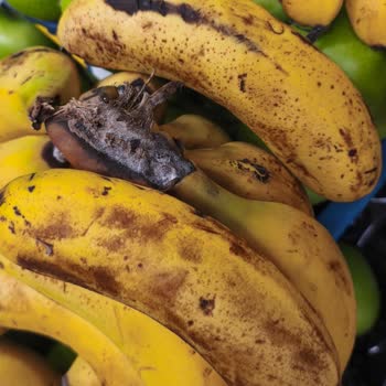 Happy Market Kavaklıda Sürekli Çürük Meyve Sebze Ve İlgisiz Personel Sorunu