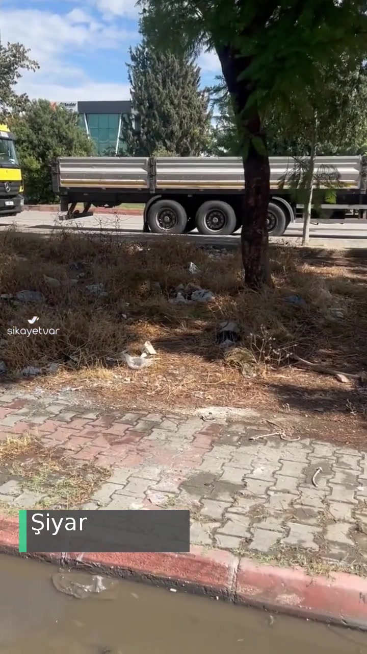 Adana Büyükşehir Belediyesi Genel Temizlik Gerekiyor! videonun kapak resmi