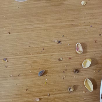 Migros Aldığım Siirt Fıstıklarının Çürük Ve Boş Çıkması Nedeniyle Hayal Kırıklığı Yaşadım