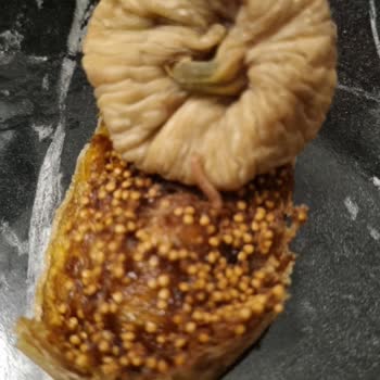 Aldığım Kuru İncirden Kurt Çıktı Hızlı Çözüm Bekliyorum