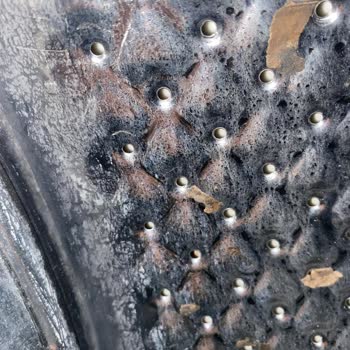 Çamaşır Makinesinde Kalıcı Kirlenme Ve Yetersiz Servis Çözümü Mağduriyeti