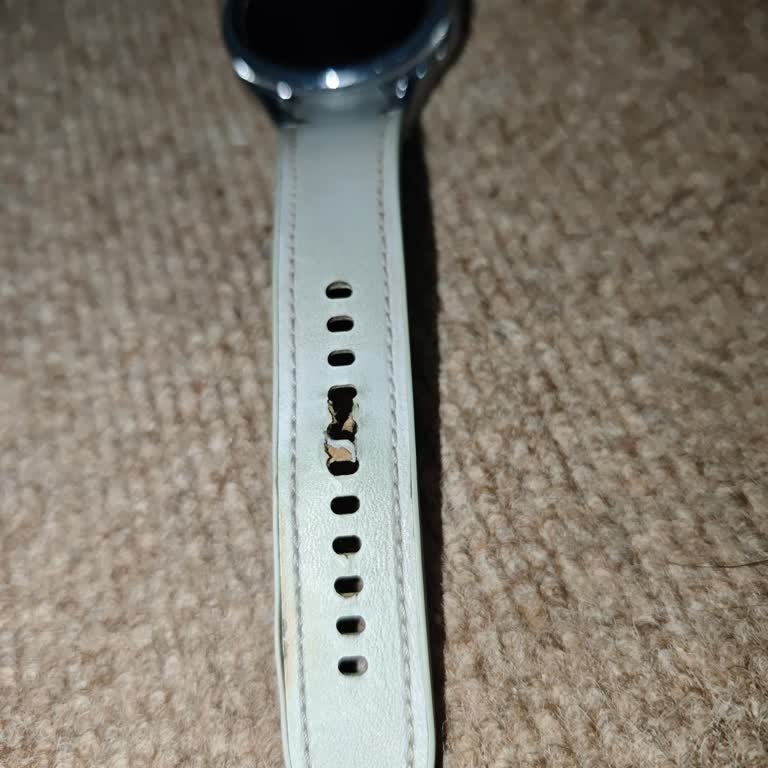 Samsung Galaxy Watch 6 Kordonunda Garanti Kapsamında Değişim Talebi