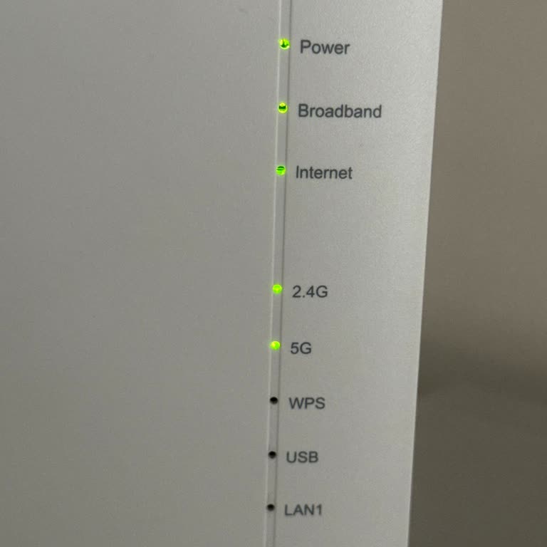 Sabit IP Sorunu Nedeniyle Ofis İnterneti Kesildi, Acil Teknik Destek Talebi