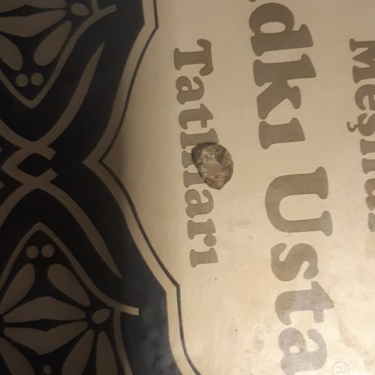 Baklava Ve Şöbiyet İçinde Taş Ve Fıstık Kabuğu Çıktı, Hediye Mahcup Etti