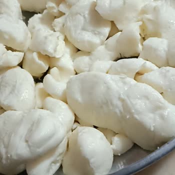 Aldığım Peynir Bozuk Çıktı Firma Dönüş Yapmadı Mağduriyetim Giderilmiyor