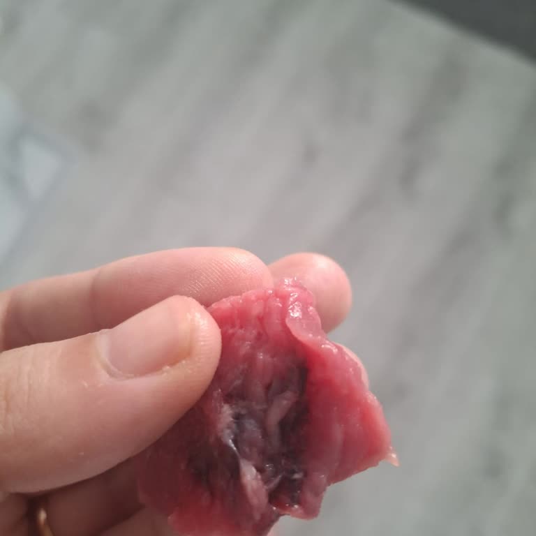 Aldığım Kuşbaşı Ette Sert Ve Sinirli Parçalar Çıktı