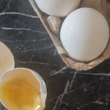 Bozuk Ve Küflenmiş Yumurta Satışı: Para İadesi Ve Denetim Talebi