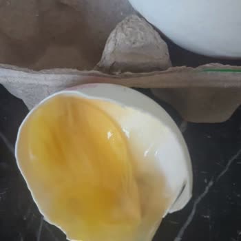 Bozuk Ve Küflenmiş Yumurta Satışı: Para İadesi Ve Denetim Talebi